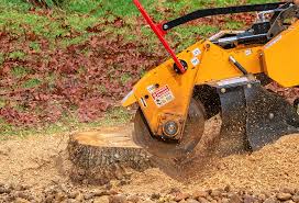 Lawn Watering Services in Fort Montgomery, NY