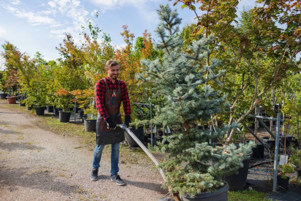 Best Tree Removal  in Fort Montgomery, NY
